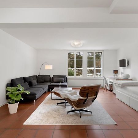 Cozy Boutique Apartment At Mt. Rigi Goldau Kültér fotó