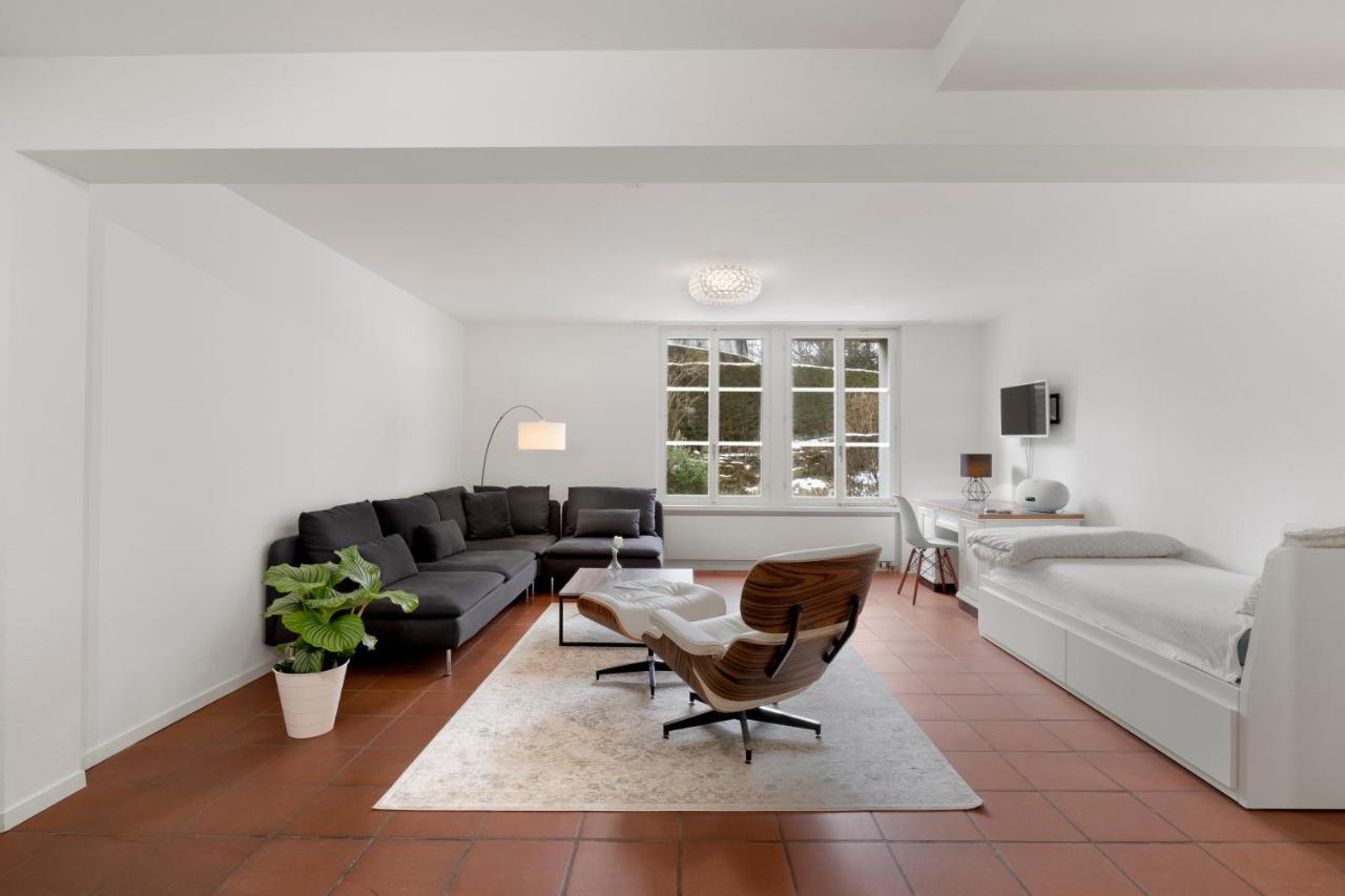 Cozy Boutique Apartment At Mt. Rigi Goldau Kültér fotó